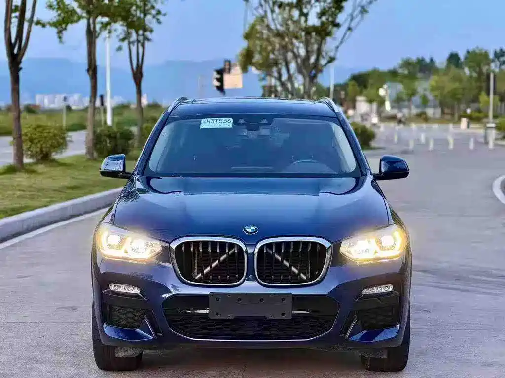 BMW X3 — миниатюра 2
