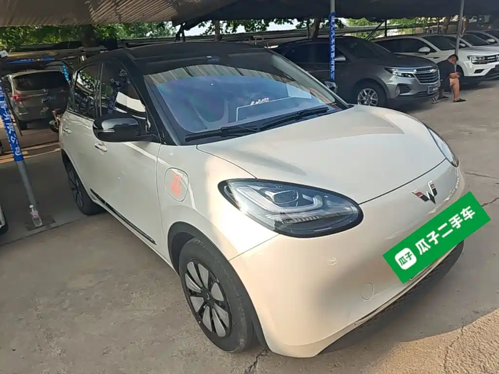 Wuling Binguo 2024 333km