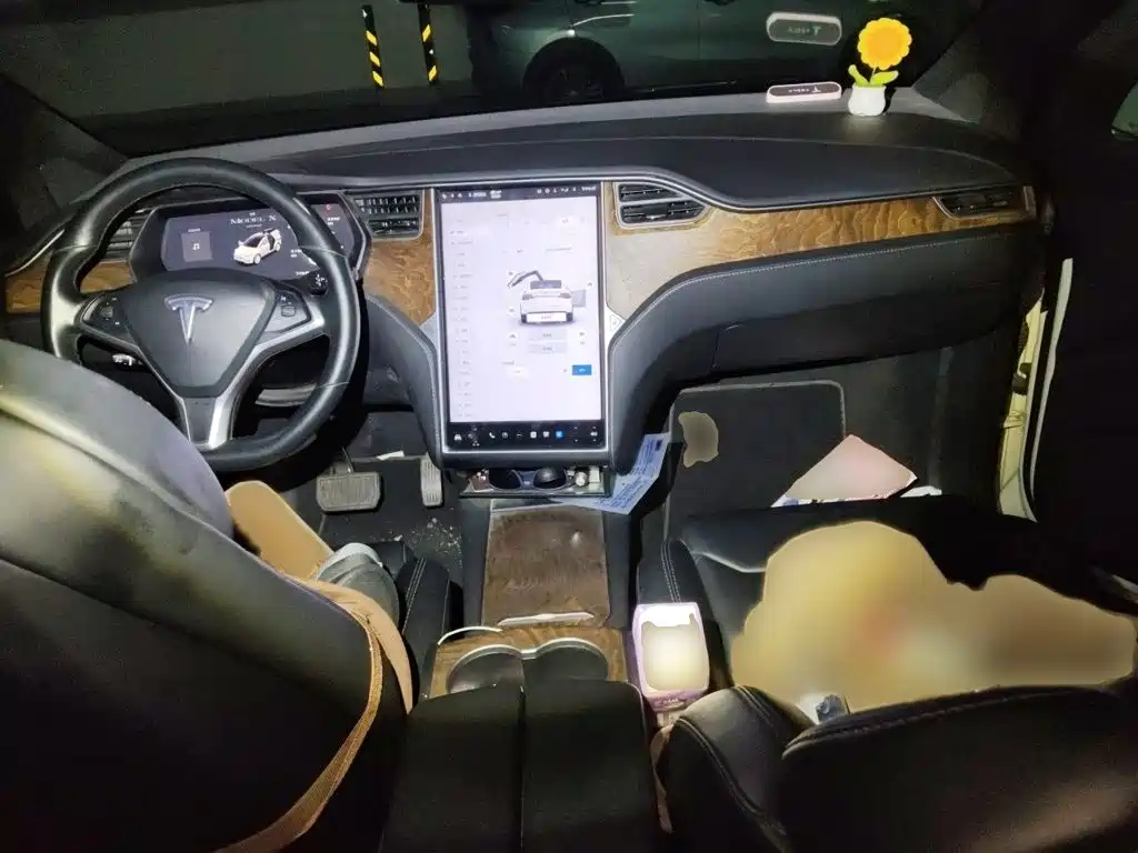 Tesla Model X — миниатюра 13