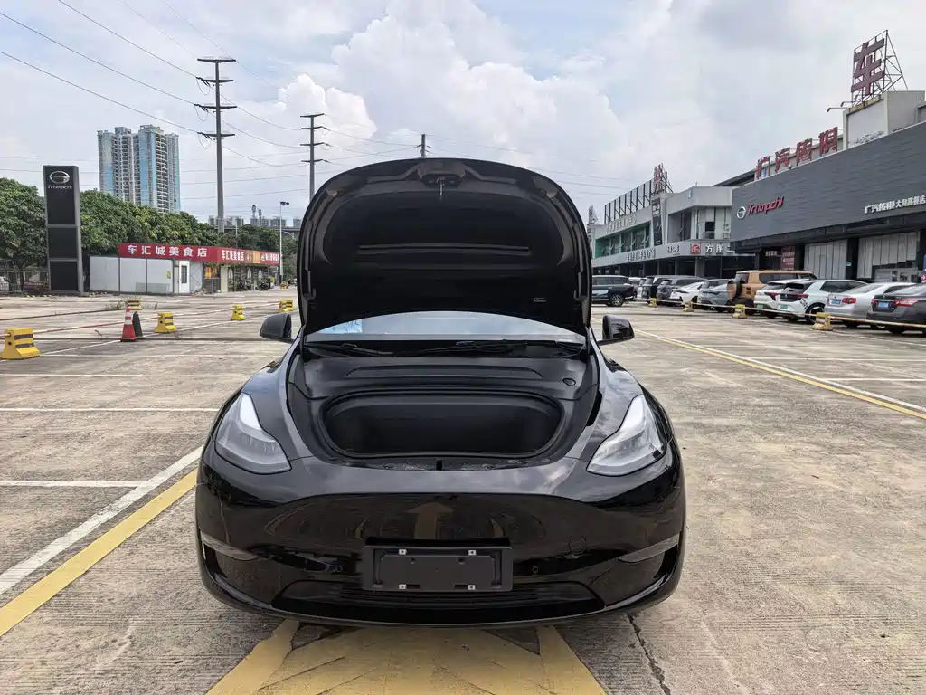 Tesla Model Y — миниатюра 20