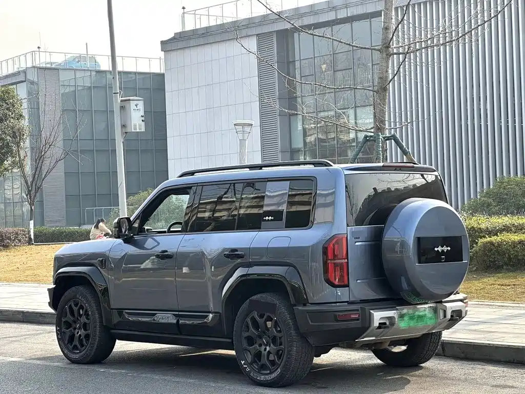 FANG CHENG BAO LEOPARD 5