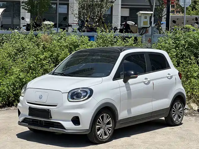 2021 Leapmotor T03