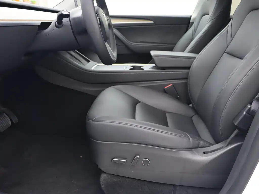 Tesla Model Y — миниатюра 5