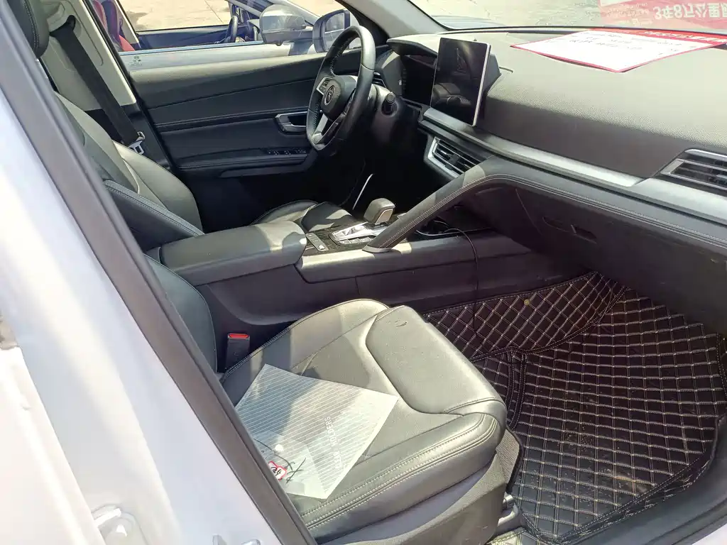 BYD Pro — миниатюра 12