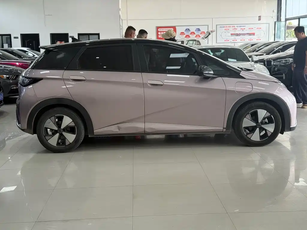 BYD Dolphin — миниатюра 6