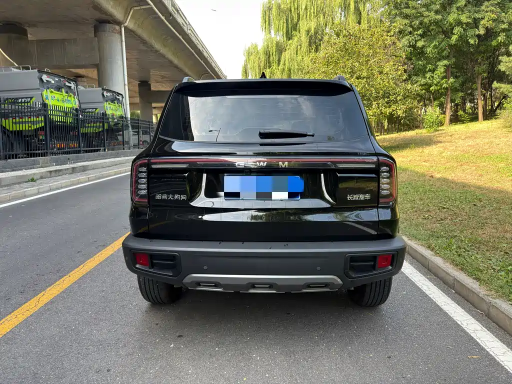 Haval Big Dog — миниатюра 5
