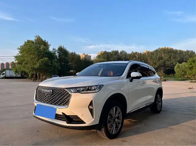 2020 Haval H6