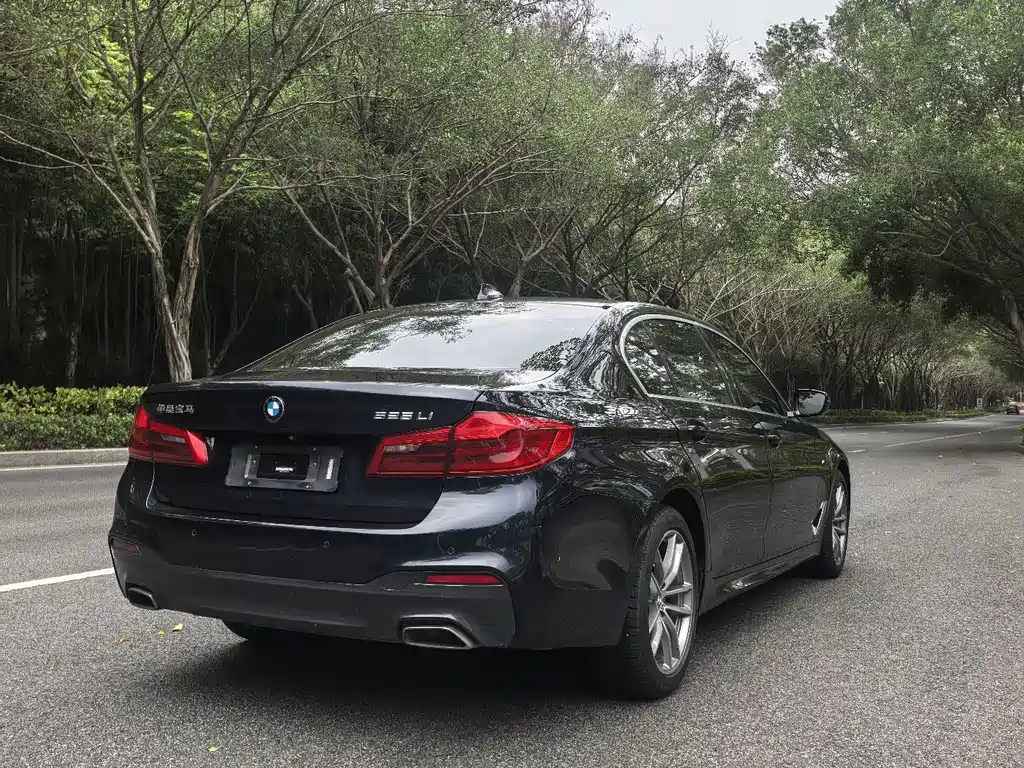 BMW 5 Series 5 2020 525Li M Sport