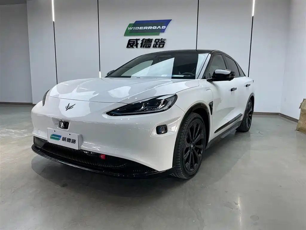 ARCFOX EXTREME FOX POLAR FOX ALPHA S