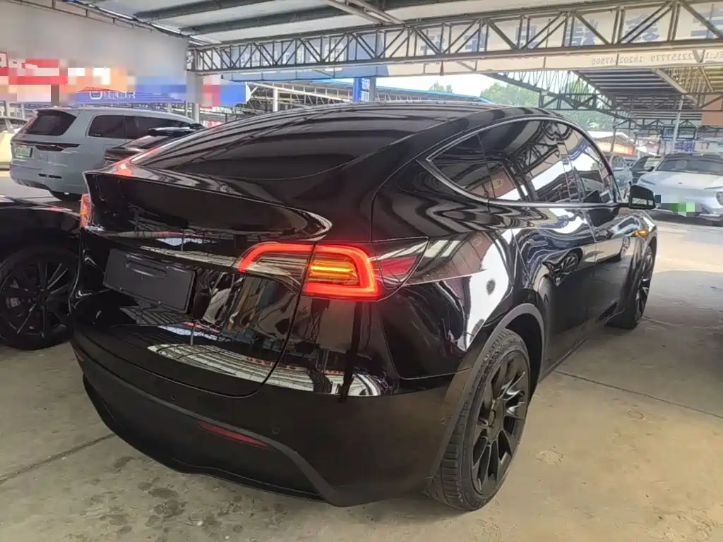 Tesla Model Y — миниатюра 7