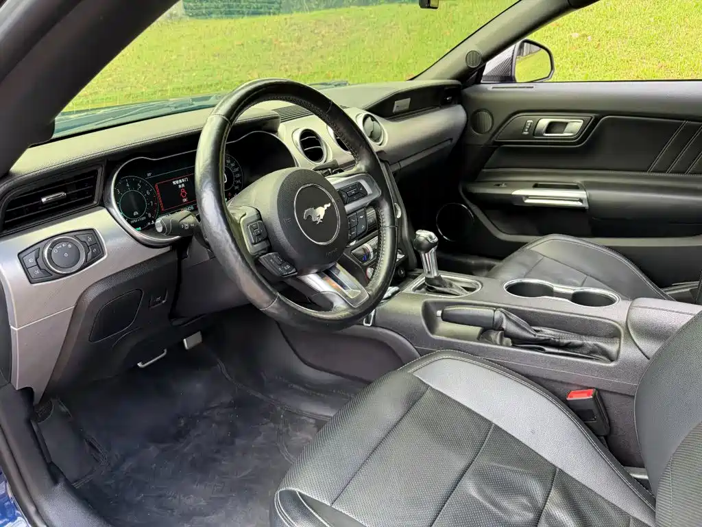 Ford Mustang — миниатюра 7