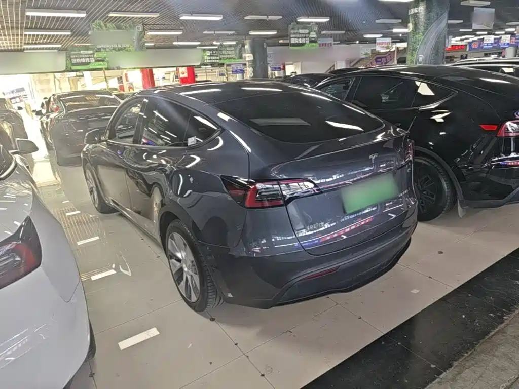 Tesla Model Y — миниатюра 5