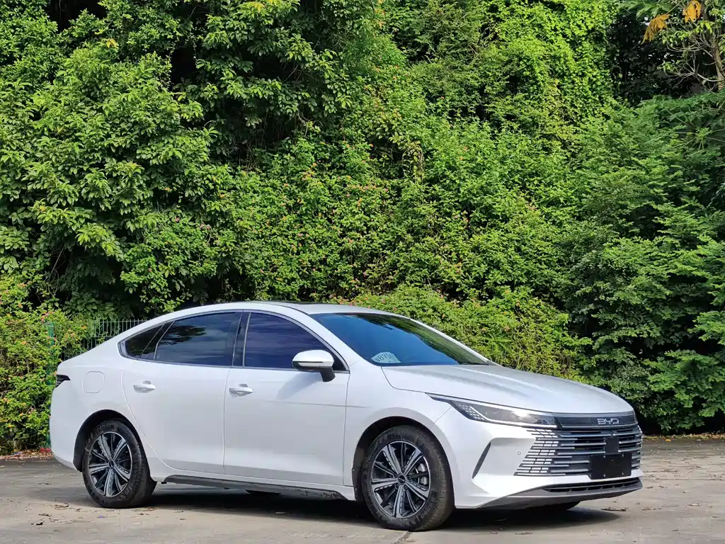BYD Destroyer 05 — миниатюра 2
