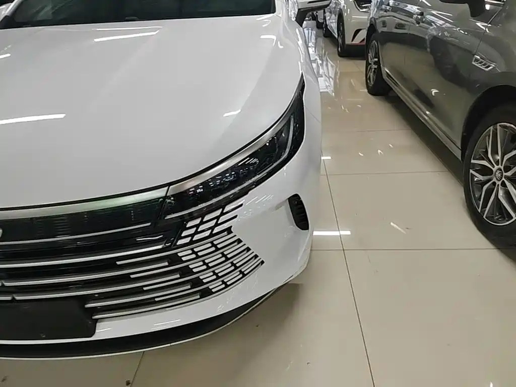BYD Destroyer 05 — миниатюра 24
