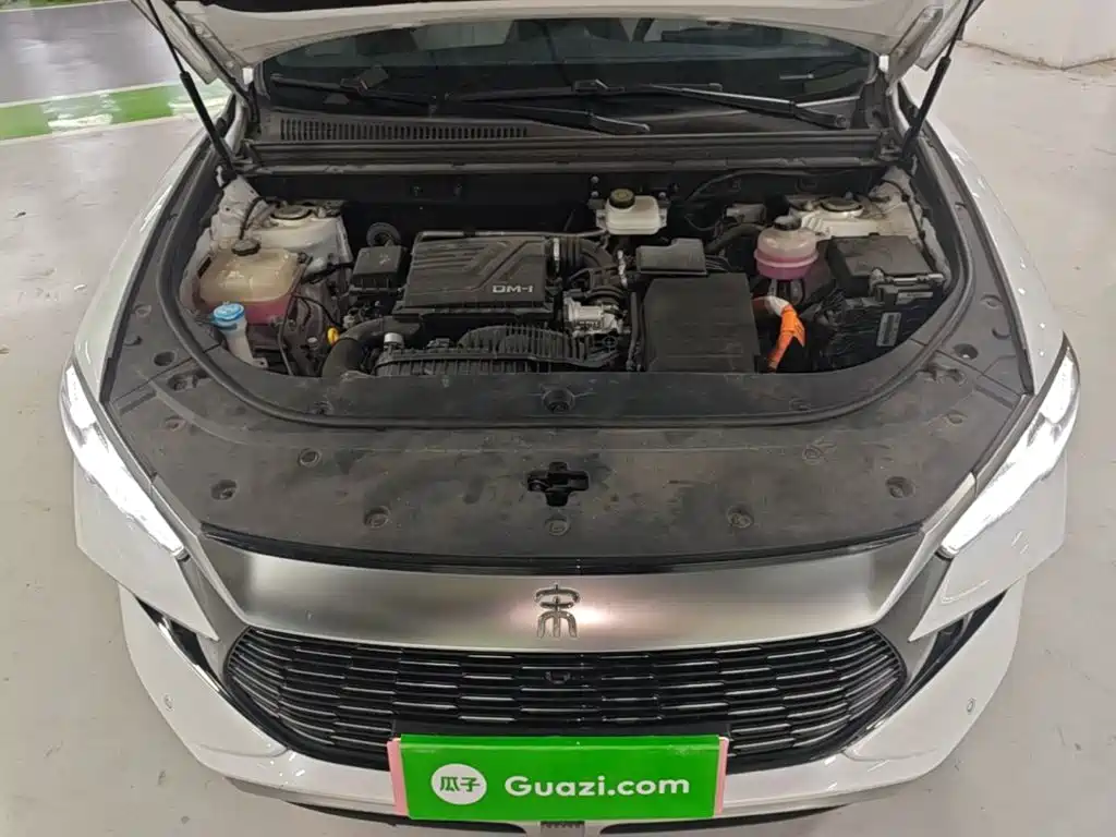 BYD Pro New Energy — миниатюра 20