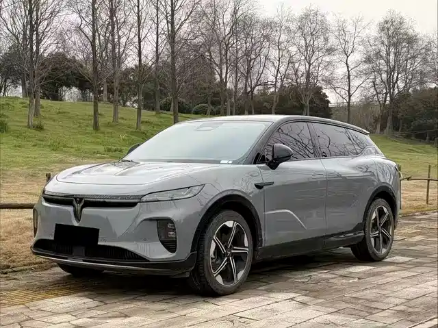 VOYAH LAN TU ZHIYIN 2025