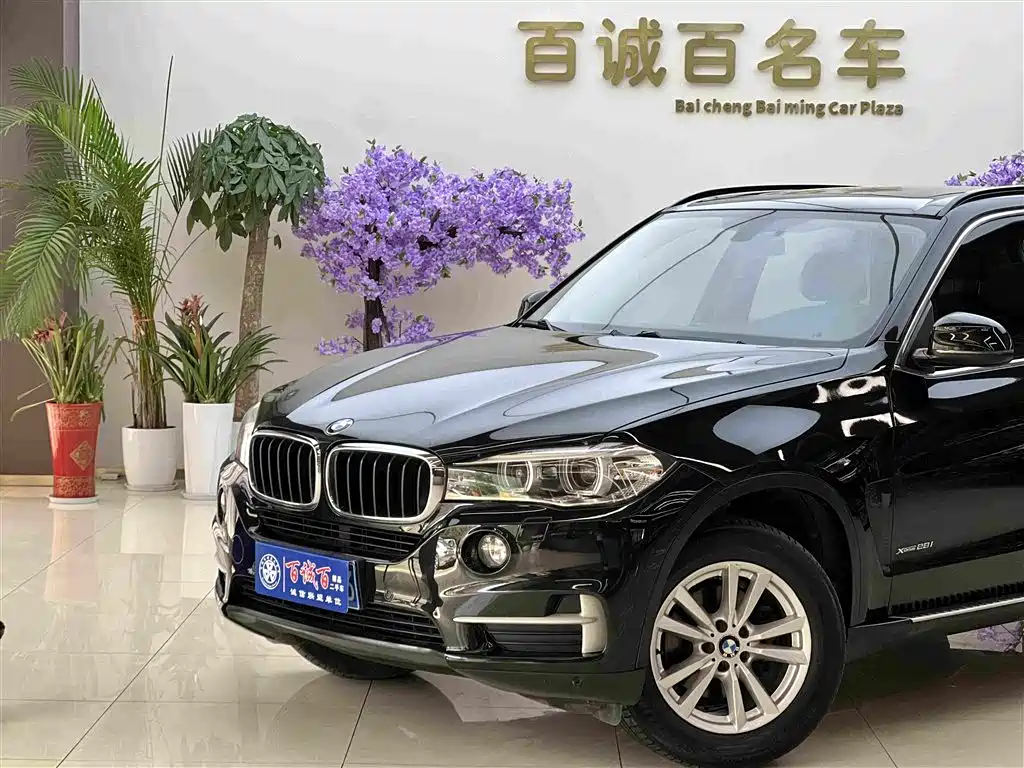 BMW X5 (Import) — миниатюра 2
