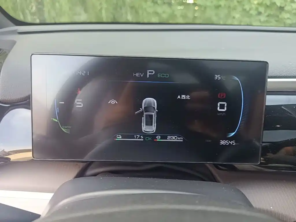 BYD Pro New Energy — миниатюра 12