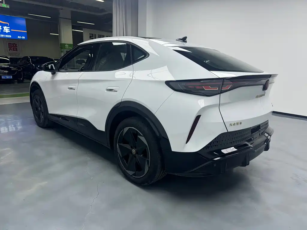 VOLKSWAGEN WITH THE CROWD 06