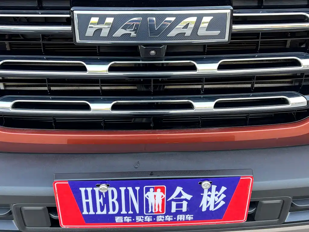 Haval Big Dog — миниатюра 18
