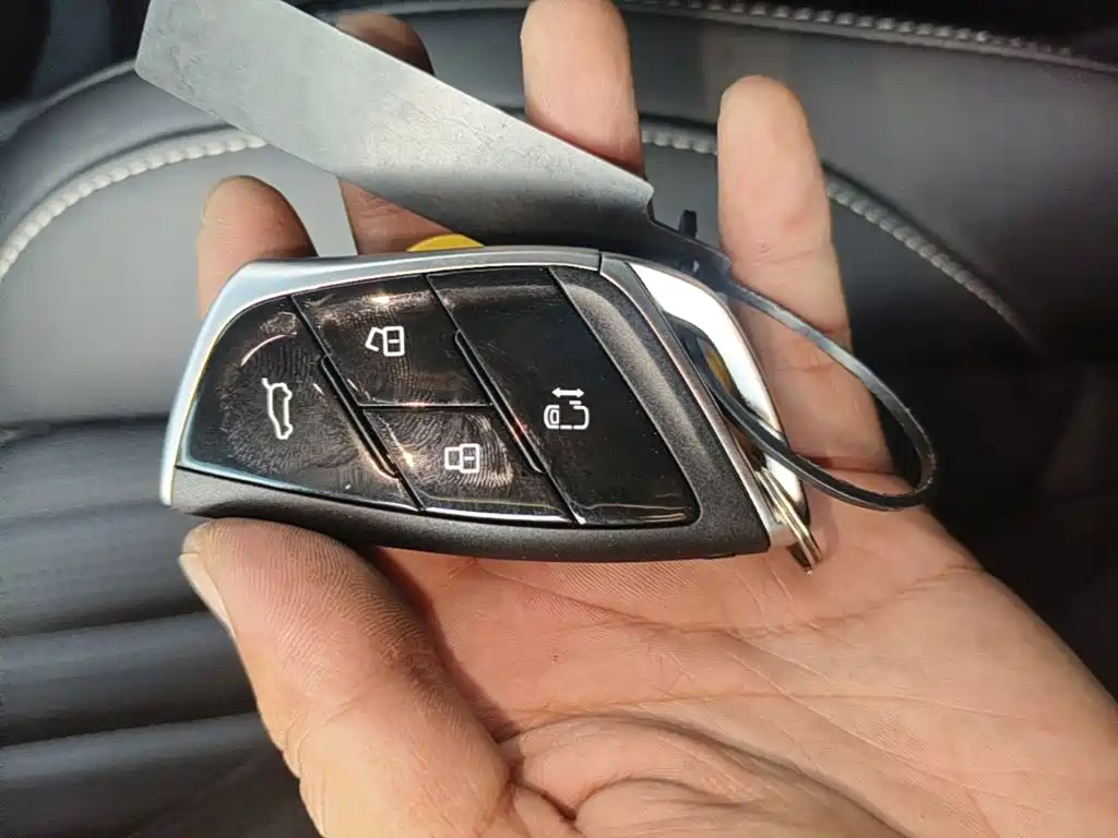 MAXUS Dajia 9 — миниатюра 9
