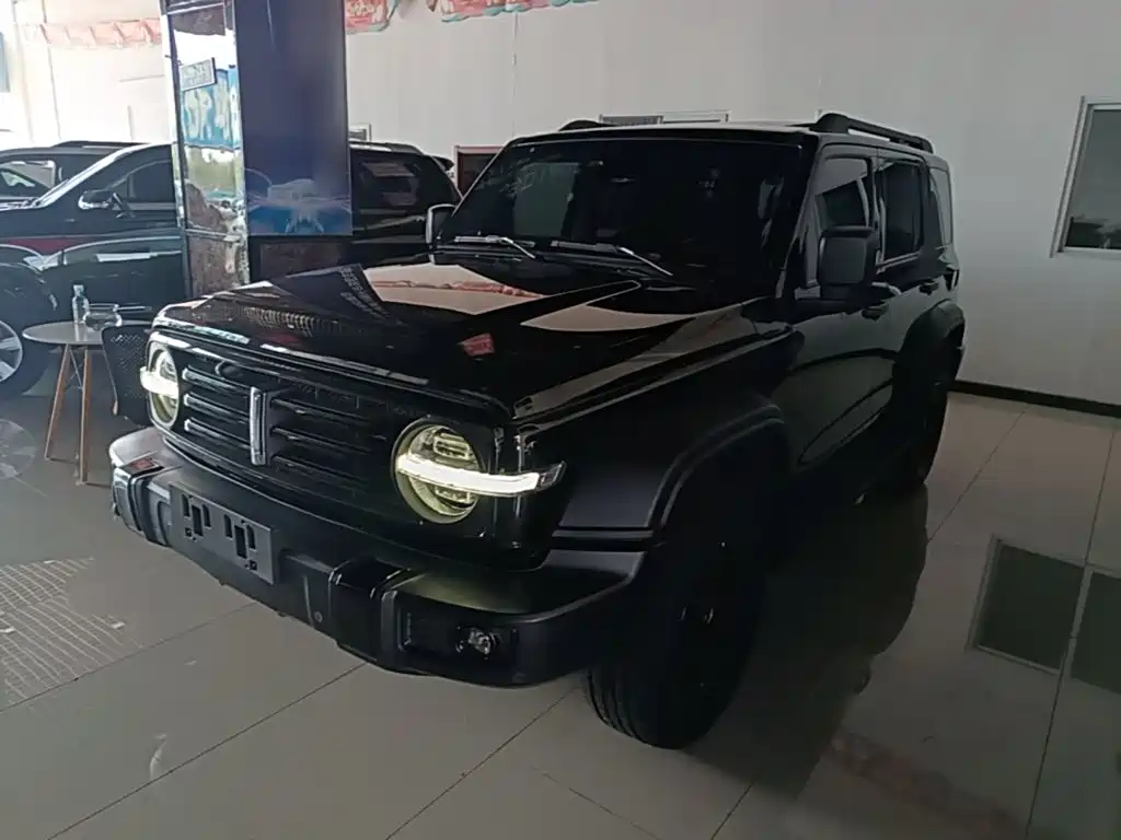 Tank 300