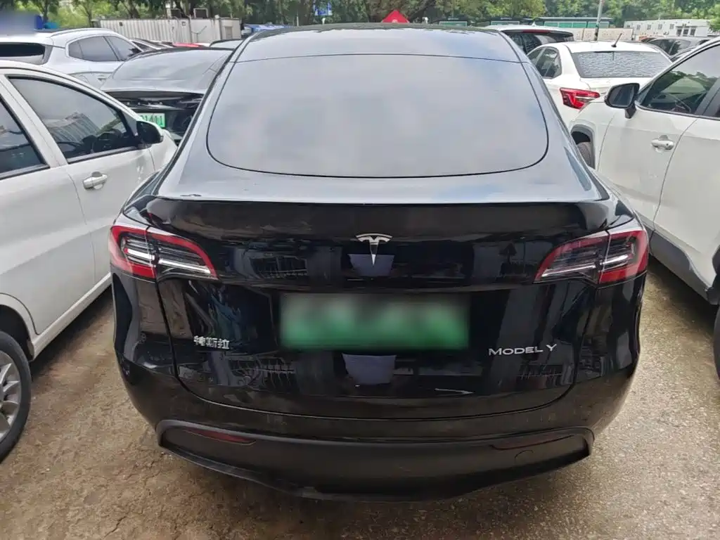 Tesla Model Y — миниатюра 6