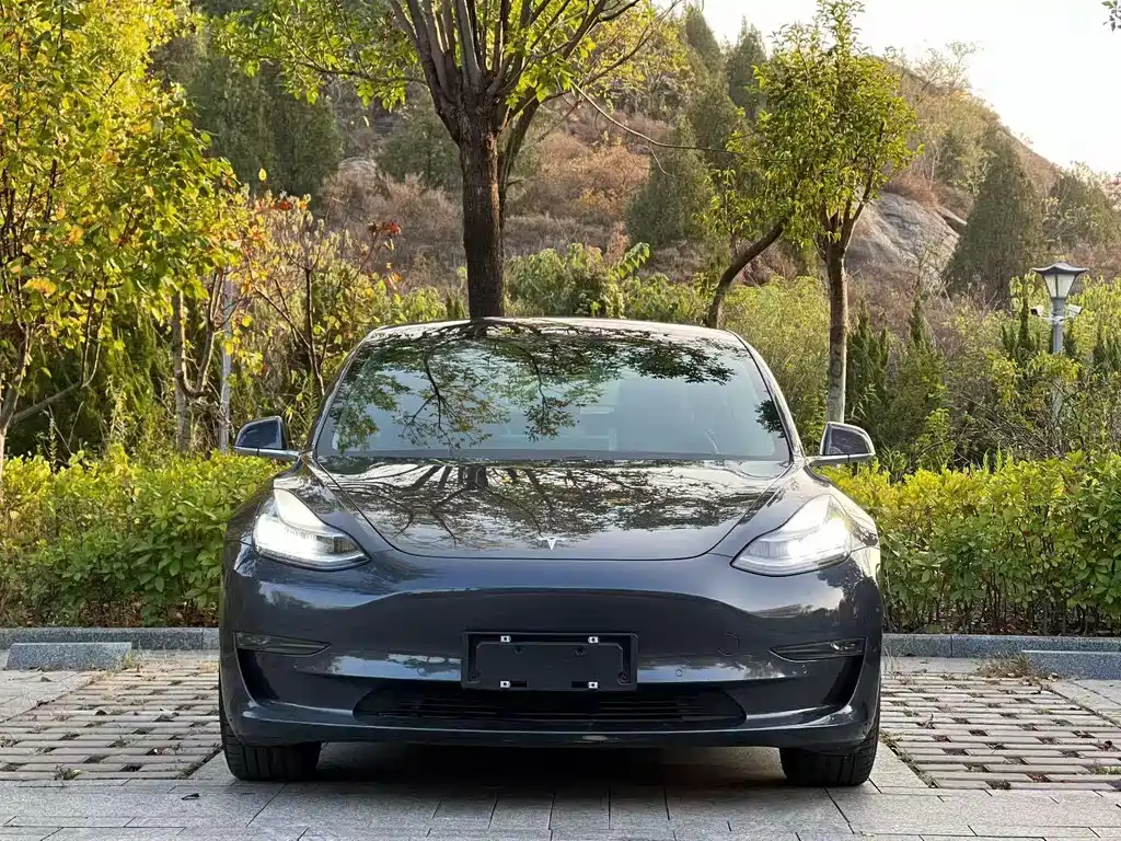Tesla Model 3 — миниатюра 2