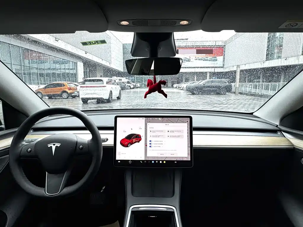 Tesla Model Y — миниатюра 6