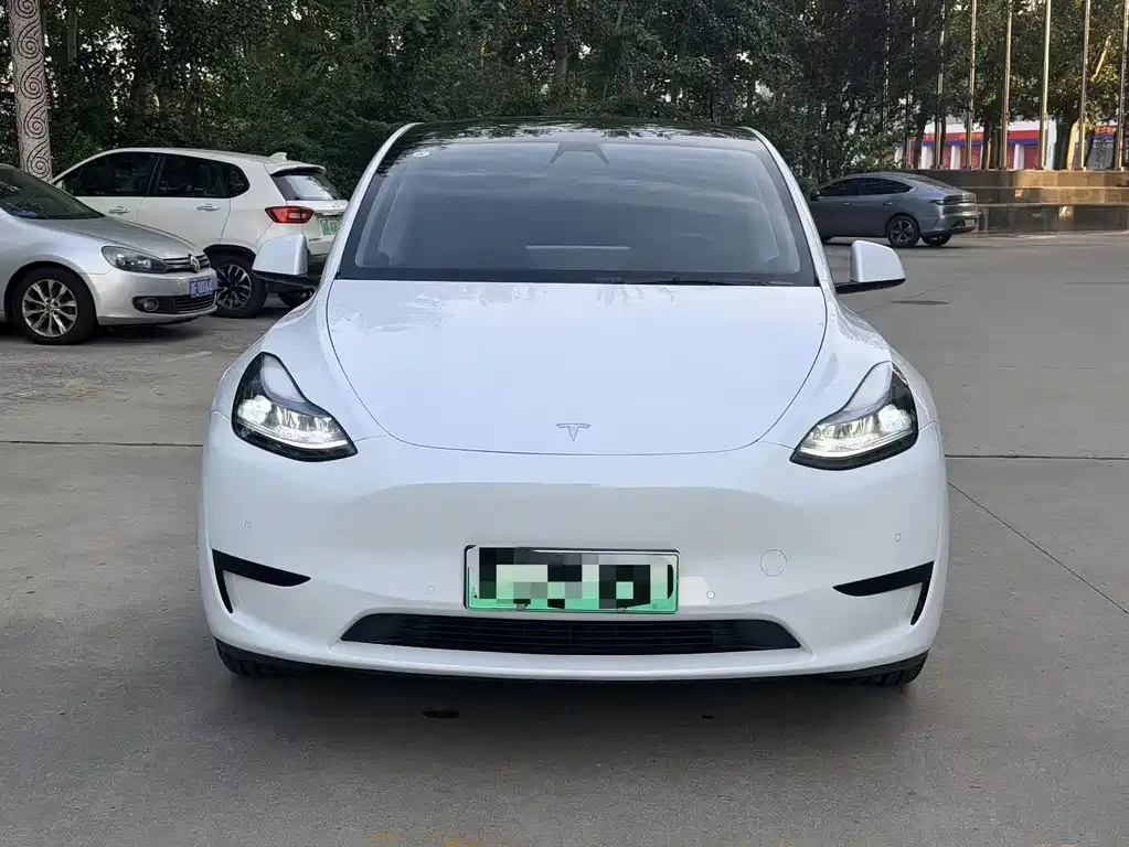 Tesla Model Y — миниатюра 2