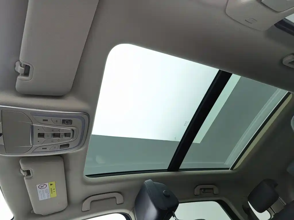 BYD Tang New Energy — миниатюра 14