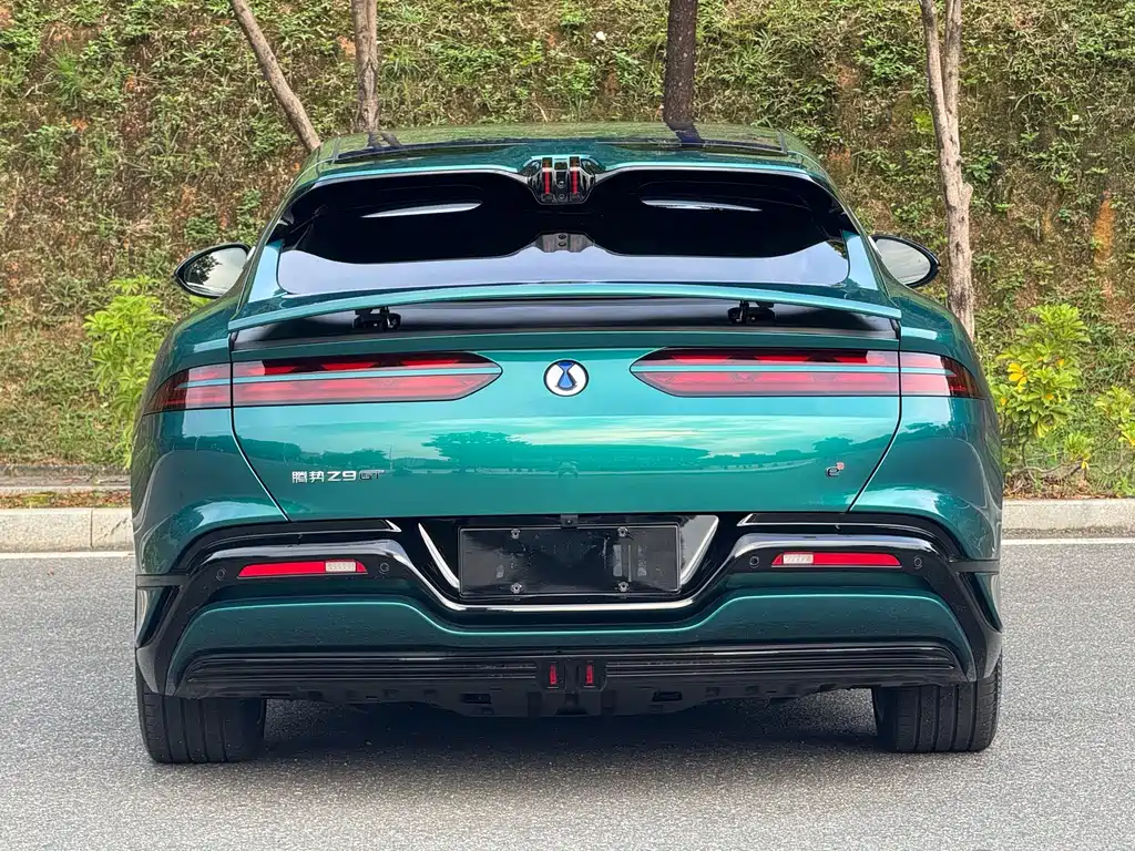Denza Denza Z9GT — миниатюра 9