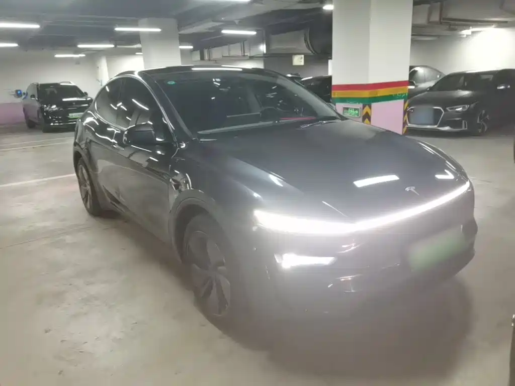 Tesla Model Y — миниатюра 4