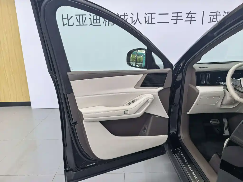 Denza Denza N8L — миниатюра 25
