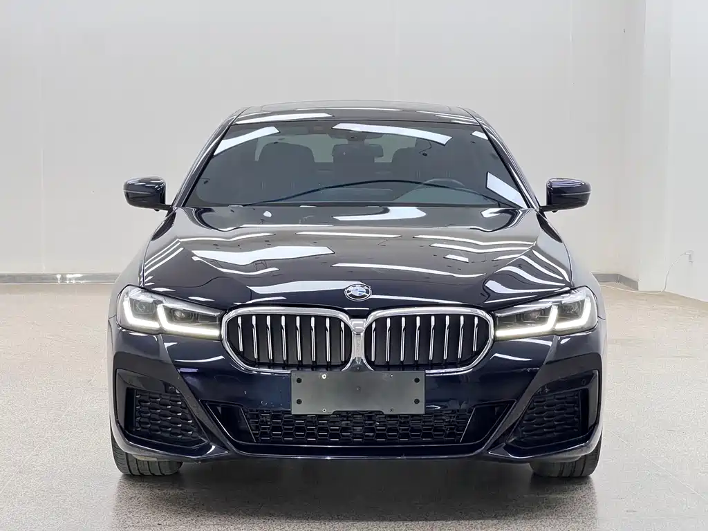 BMW 5 Series — миниатюра 2