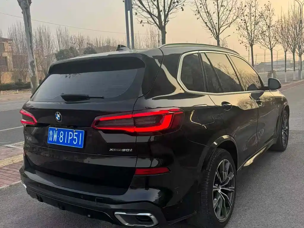 BMW X5 2019 xDrive30i M Sport