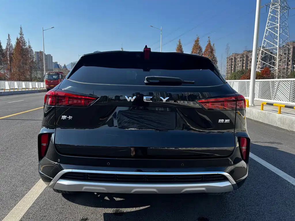 WEI PAI WEI BRAND MOCHA