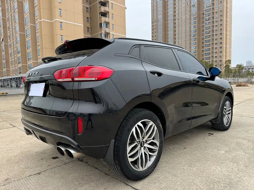 WEI PAI WEI BRAND VV5