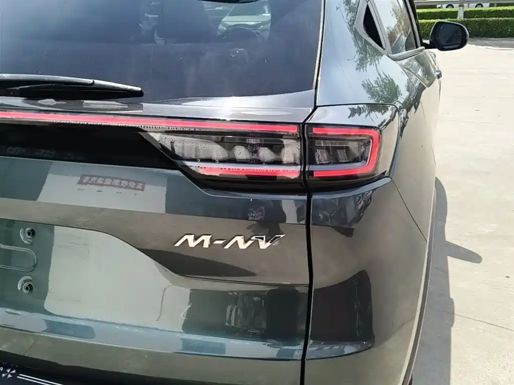 CIIMO M-NV — миниатюра 8