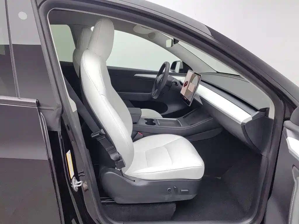 Tesla Model Y — миниатюра 23