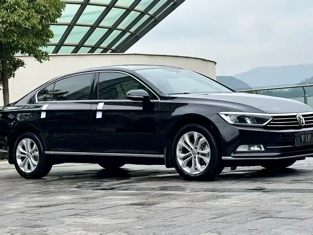 Volkswagen Magotan 2019 380TSI DSG Luxury V
