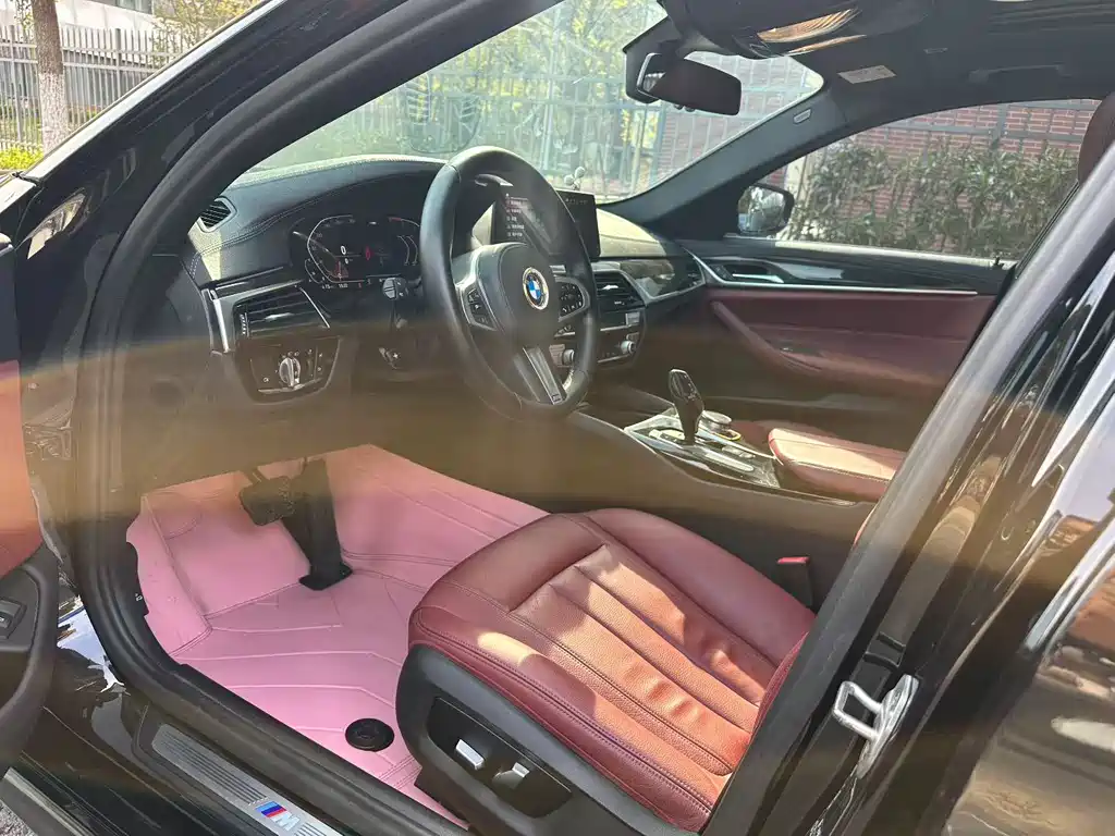 BMW 5 Series 5 2020 530Li xDrive M Sport