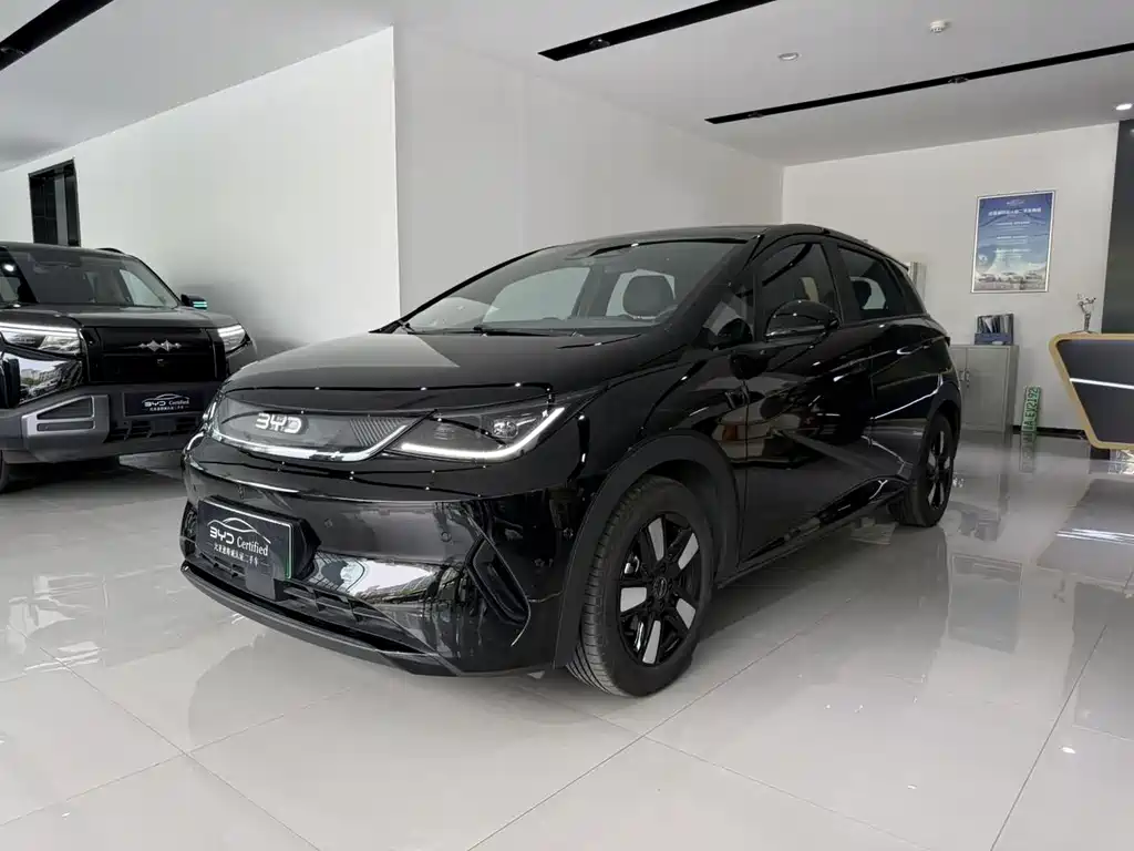 Byd Dolphin 2025