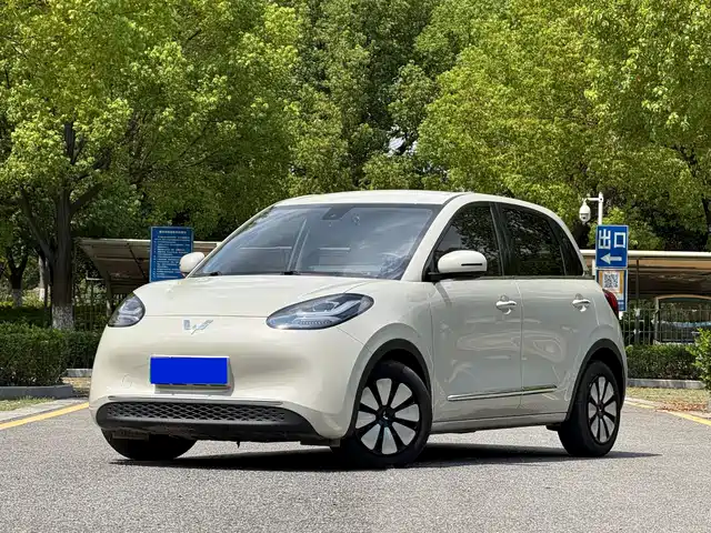 WULING AUTOMOBILE WULING BINGGUO 2023