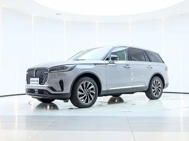 LINCOLN FLYING HOME 2025