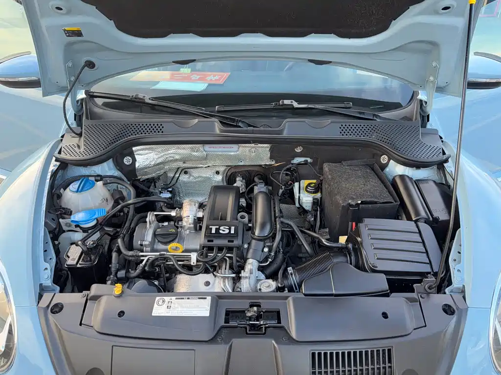 Volkswagen Beetle — миниатюра 17