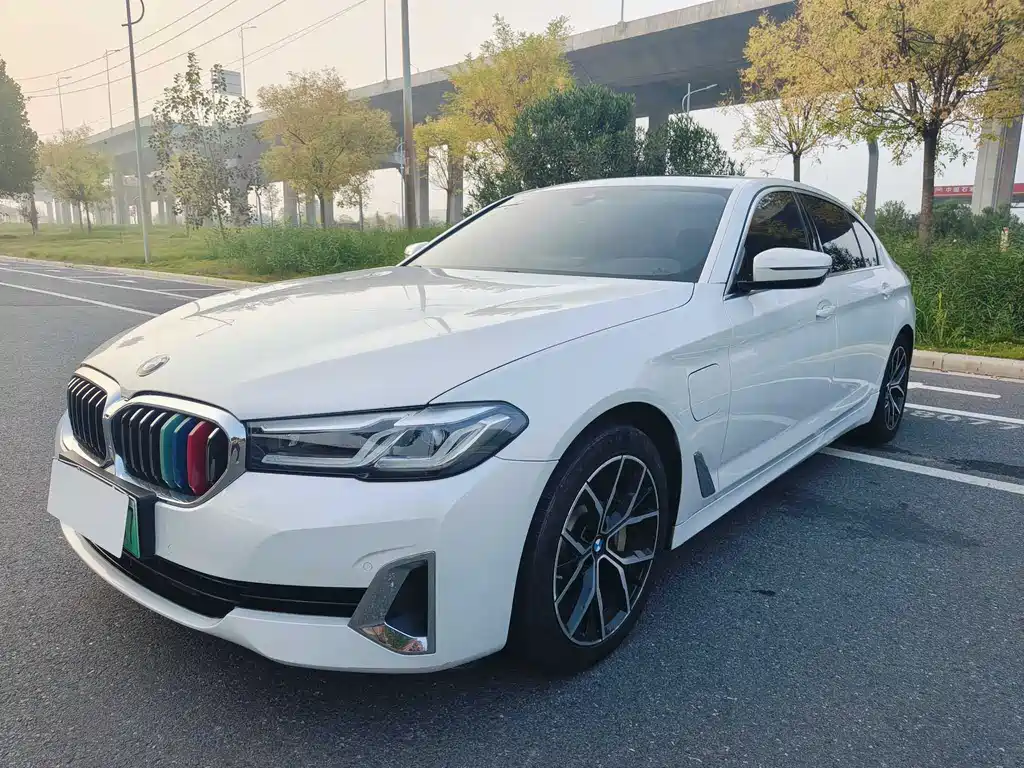 BMW 5 Series New Energy 2021