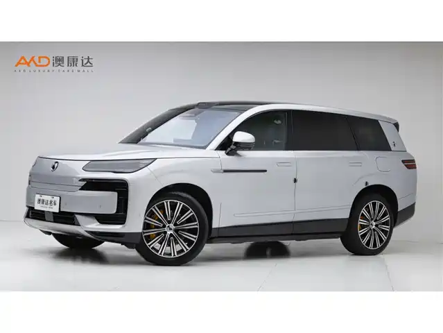 2025 Denza N9