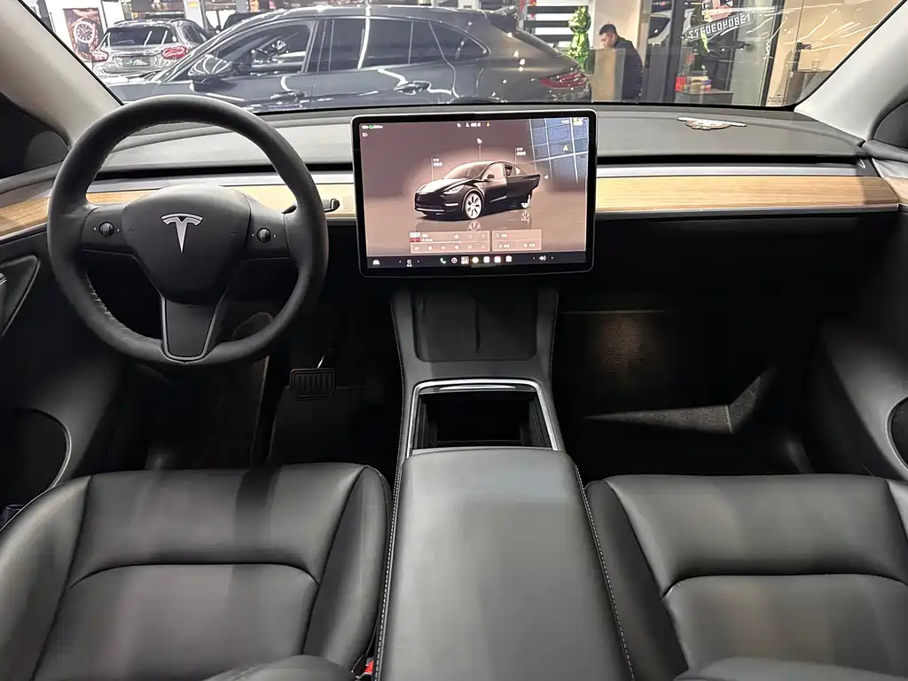 Tesla Model Y — миниатюра 10