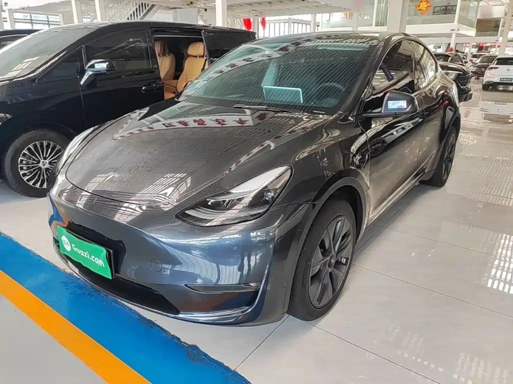 Tesla Model Y — миниатюра 2